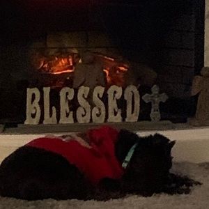 Meet your Posher, Margie